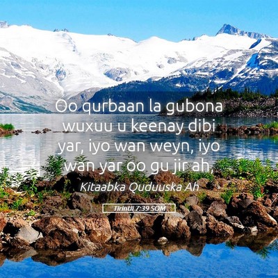 Picture 05 - Tirintii 7:39 SOM - Oo qurbaan la gubona wuxuu u keenay dibi yar, iyo - Bible Verse Picture