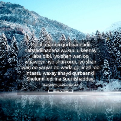 Picture 05 - Tirintii 7:41 SOM - Oo allabarigii qurbaannadii nabaadiinadana wuxuu - Bible Verse Picture