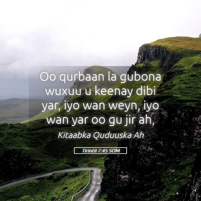 Picture 05 - Tirintii 7:45 SOM - Oo qurbaan la gubona wuxuu u keenay dibi yar, iyo - Bible Verse Picture