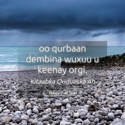 Picture 05 - Tirintii 7:46 SOM - oo qurbaan dembina wuxuu u keenay - Bible Verse Picture