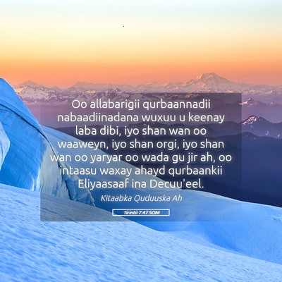Picture 05 - Tirintii 7:47 SOM - Oo allabarigii qurbaannadii nabaadiinadana wuxuu - Bible Verse Picture