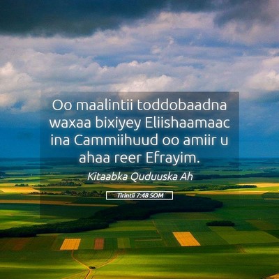 Picture 05 - Tirintii 7:48 SOM - Oo maalintii toddobaadna waxaa bixiyey - Bible Verse Picture