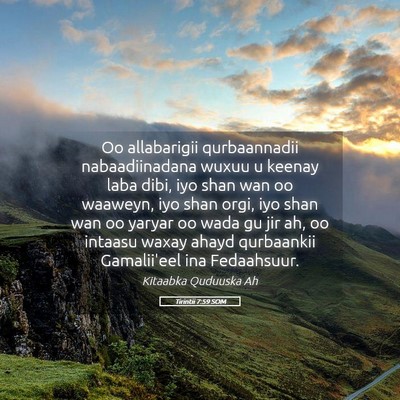 Picture 05 - Tirintii 7:59 SOM - Oo allabarigii qurbaannadii nabaadiinadana wuxuu - Bible Verse Picture