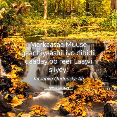 Picture 05 - Tirintii 7:6 SOM - Markaasaa Muuse gaadhiyaashii iyo dibidii qaaday - Bible Verse Picture
