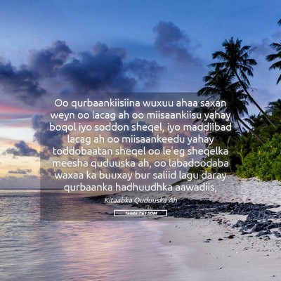 Picture 05 - Tirintii 7:61 SOM - Oo qurbaankiisiina wuxuu ahaa saxan weyn oo lacag - Bible Verse Picture