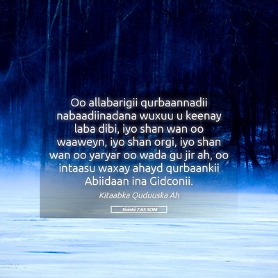 Picture 05 - Tirintii 7:65 SOM - Oo allabarigii qurbaannadii nabaadiinadana wuxuu - Bible Verse Picture