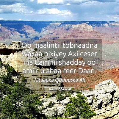 Picture 05 - Tirintii 7:66 SOM - Oo maalintii tobnaadna waxaa bixiyey Axiiceser - Bible Verse Picture