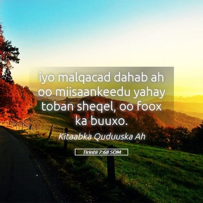 Picture 05 - Tirintii 7:68 SOM - iyo malqacad dahab ah oo miisaankeedu yahay toban - Bible Verse Picture