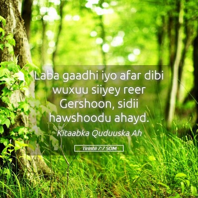 Picture 05 - Tirintii 7:7 SOM - Laba gaadhi iyo afar dibi wuxuu siiyey reer - Bible Verse Picture