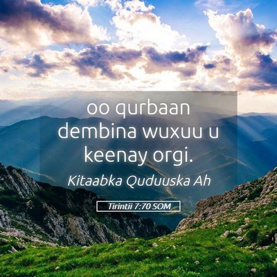 Picture 05 - Tirintii 7:70 SOM - oo qurbaan dembina wuxuu u keenay - Bible Verse Picture