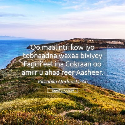Picture 05 - Tirintii 7:72 SOM - Oo maalintii kow iyo tobnaadna waxaa bixiyey - Bible Verse Picture