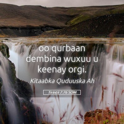 Picture 05 - Tirintii 7:76 SOM - oo qurbaan dembina wuxuu u keenay - Bible Verse Picture
