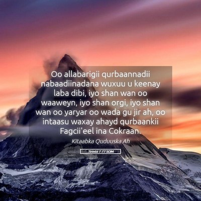 Picture 05 - Tirintii 7:77 SOM - Oo allabarigii qurbaannadii nabaadiinadana wuxuu - Bible Verse Picture