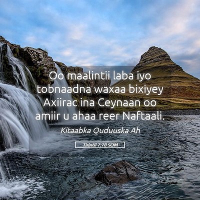 Picture 05 - Tirintii 7:78 SOM - Oo maalintii laba iyo tobnaadna waxaa bixiyey - Bible Verse Picture