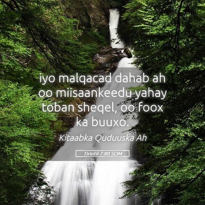 Picture 05 - Tirintii 7:80 SOM - iyo malqacad dahab ah oo miisaankeedu yahay toban - Bible Verse Picture