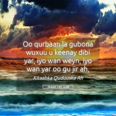 Picture 05 - Tirintii 7:81 SOM - Oo qurbaan la gubona wuxuu u keenay dibi yar, iyo - Bible Verse Picture