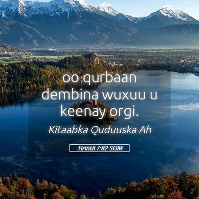 Picture 05 - Tirintii 7:82 SOM - oo qurbaan dembina wuxuu u keenay - Bible Verse Picture