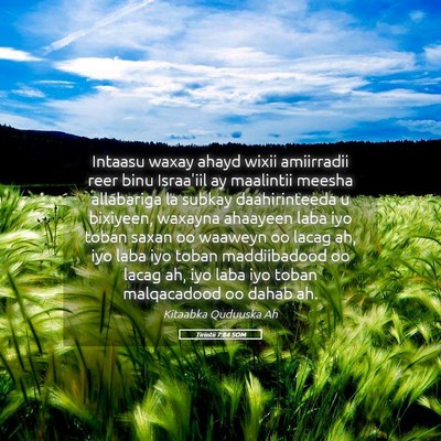 Picture 05 - Tirintii 7:84 SOM - Intaasu waxay ahayd wixii amiirradii reer binu - Bible Verse Picture