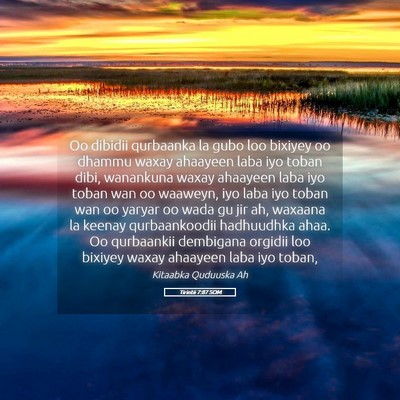 Picture 05 - Tirintii 7:87 SOM - Oo dibidii qurbaanka la gubo loo bixiyey oo - Bible Verse Picture