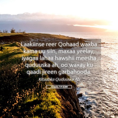 Picture 05 - Tirintii 7:9 SOM - Laakiinse reer Qohaad waxba kama uu siin, maxaa - Bible Verse Picture