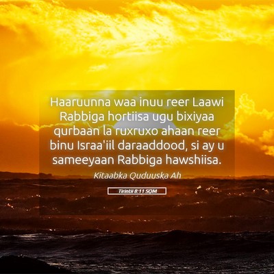 Picture 05 - Tirintii 8:11 SOM - Haaruunna waa inuu reer Laawi Rabbiga hortiisa - Bible Verse Picture