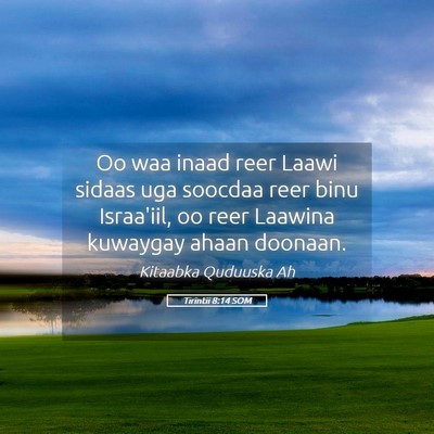 Picture 05 - Tirintii 8:14 SOM - Oo waa inaad reer Laawi sidaas uga soocdaa reer - Bible Verse Picture