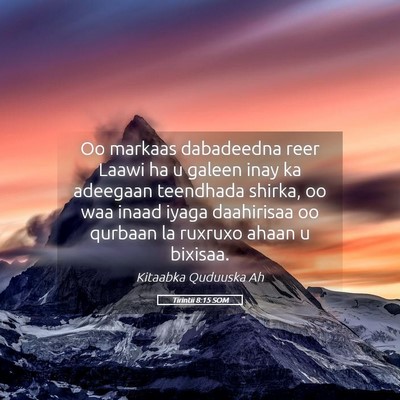 Picture 05 - Tirintii 8:15 SOM - Oo markaas dabadeedna reer Laawi ha u galeen inay - Bible Verse Picture
