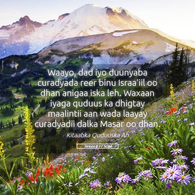 Picture 05 - Tirintii 8:17 SOM - Waayo, dad iyo duunyaba curadyada reer binu - Bible Verse Picture
