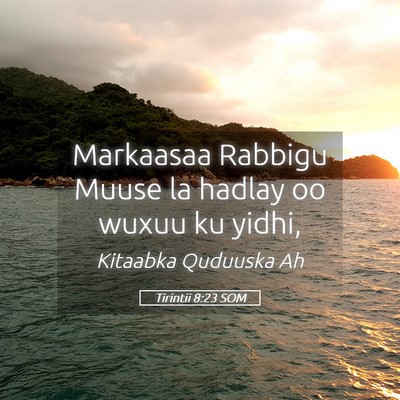 Picture 05 - Tirintii 8:23 SOM - Markaasaa Rabbigu Muuse la hadlay oo wuxuu ku - Bible Verse Picture