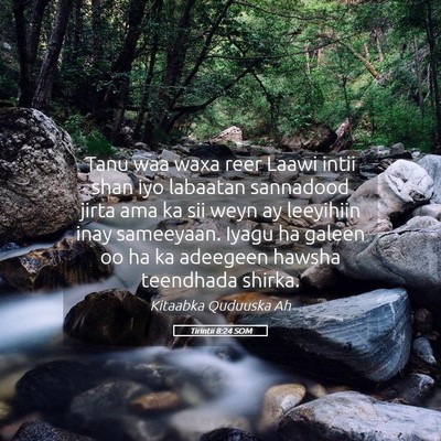 Picture 05 - Tirintii 8:24 SOM - Tanu waa waxa reer Laawi intii shan iyo labaatan - Bible Verse Picture