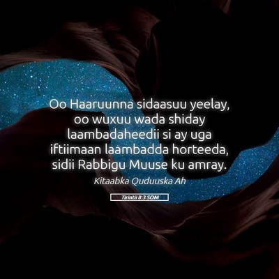 Picture 05 - Tirintii 8:3 SOM - Oo Haaruunna sidaasuu yeelay, oo wuxuu wada - Bible Verse Picture