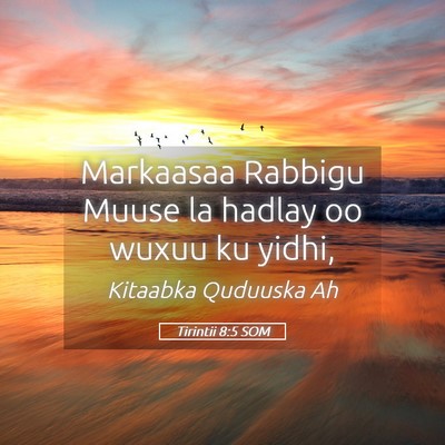 Picture 05 - Tirintii 8:5 SOM - Markaasaa Rabbigu Muuse la hadlay oo wuxuu ku - Bible Verse Picture