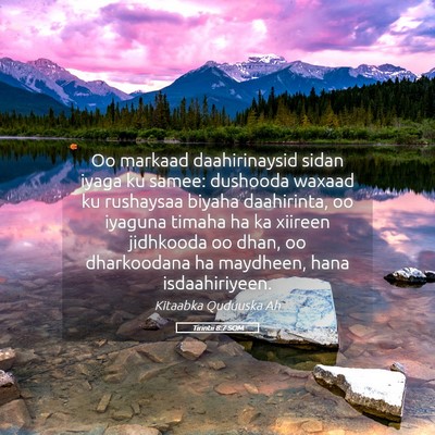 Picture 05 - Tirintii 8:7 SOM - Oo markaad daahirinaysid sidan iyaga ku samee: - Bible Verse Picture
