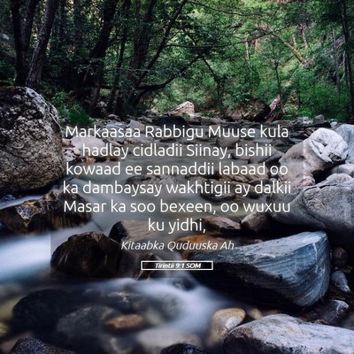 Picture 05 - Tirintii 9:1 SOM - Markaasaa Rabbigu Muuse kula hadlay cidladii - Bible Verse Picture
