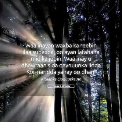 Picture 05 - Tirintii 9:12 SOM - Waa inayan waxba ka reebin ilaa subaxda, oo ayan - Bible Verse Picture
