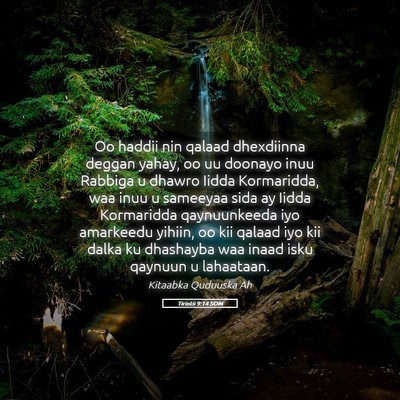 Picture 05 - Tirintii 9:14 SOM - Oo haddii nin qalaad dhexdiinna deggan yahay, oo - Bible Verse Picture