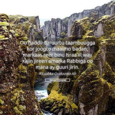 Picture 05 - Tirintii 9:19 SOM - Oo haddii daruurtu taambuugga kor joogto maalmo - Bible Verse Picture