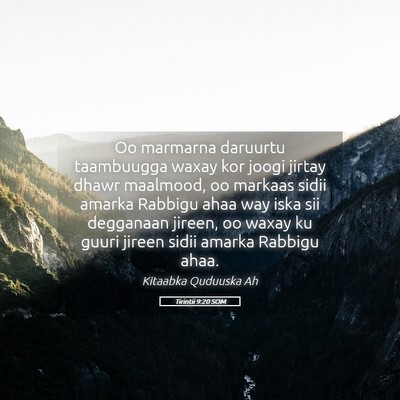 Picture 05 - Tirintii 9:20 SOM - Oo marmarna daruurtu taambuugga waxay kor joogi - Bible Verse Picture