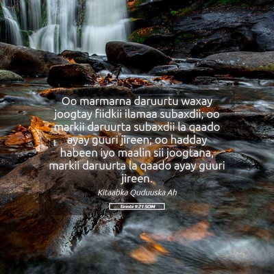 Picture 05 - Tirintii 9:21 SOM - Oo marmarna daruurtu waxay joogtay fiidkii ilamaa - Bible Verse Picture