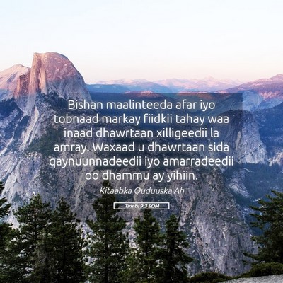Picture 05 - Tirintii 9:3 SOM - Bishan maalinteeda afar iyo tobnaad markay - Bible Verse Picture