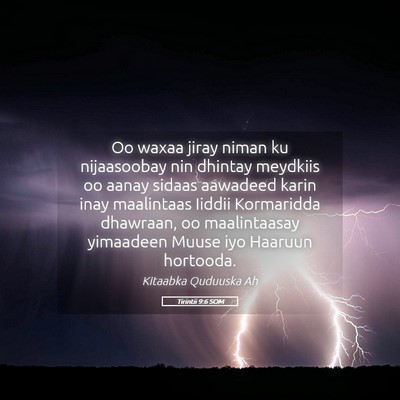 Picture 05 - Tirintii 9:6 SOM - Oo waxaa jiray niman ku nijaasoobay nin dhintay - Bible Verse Picture