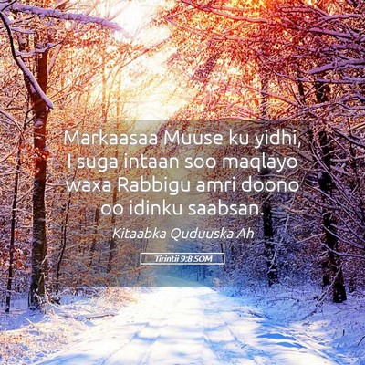 Picture 05 - Tirintii 9:8 SOM - Markaasaa Muuse ku yidhi, I suga intaan soo - Bible Verse Picture