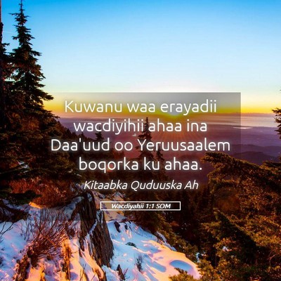 Picture 05 - Wacdiyahii 1:1 SOM - Kuwanu waa erayadii wacdiyihii ahaa ina Daa'uud - Bible Verse Picture