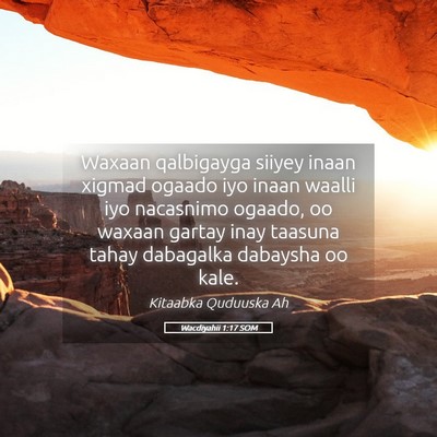 Picture 05 - Wacdiyahii 1:17 SOM - Waxaan qalbigayga siiyey inaan xigmad ogaado iyo - Bible Verse Picture