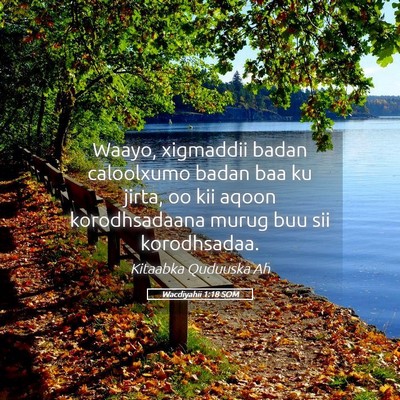 Picture 05 - Wacdiyahii 1:18 SOM - Waayo, xigmaddii badan caloolxumo badan baa ku - Bible Verse Picture