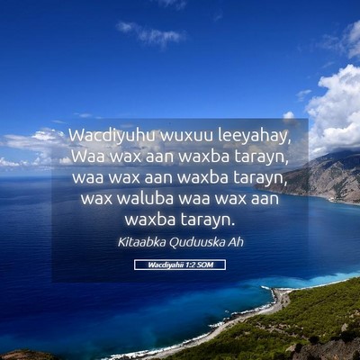 Picture 05 - Wacdiyahii 1:2 SOM - Wacdiyuhu wuxuu leeyahay, Waa wax aan waxba - Bible Verse Picture