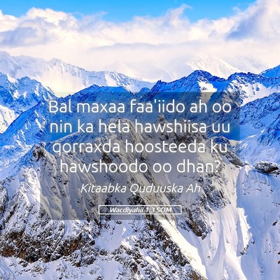 Picture 05 - Wacdiyahii 1:3 SOM - Bal maxaa faa'iido ah oo nin ka hela hawshiisa uu - Bible Verse Picture