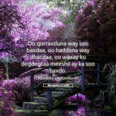Picture 05 - Wacdiyahii 1:5 SOM - Oo qorraxduna way soo baxdaa, oo haddana way - Bible Verse Picture