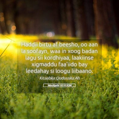 Picture 05 - Wacdiyahii 10:10 SOM - Haddii birtu af beesho, oo aan la soofayn, waa in - Bible Verse Picture