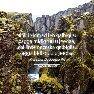 Picture 05 - Wacdiyahii 10:2 SOM - Ninkii xigmad leh qalbigiisu xagga midigtuu u - Bible Verse Picture
